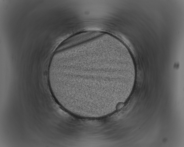 X0000101990385200808081641