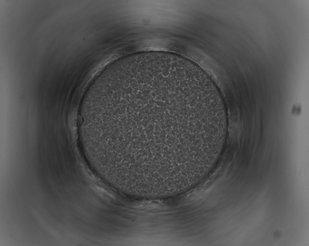 X0000101990386200808081641