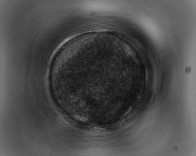 X0000101990387200808081641