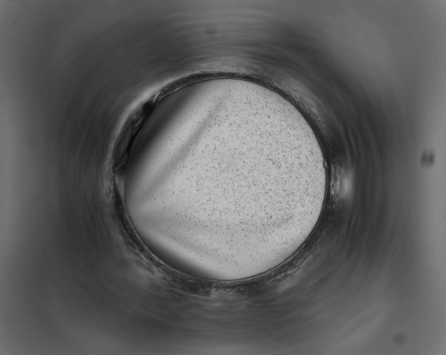 X0000101990388200808081641