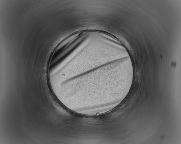 X0000101990389200808081641