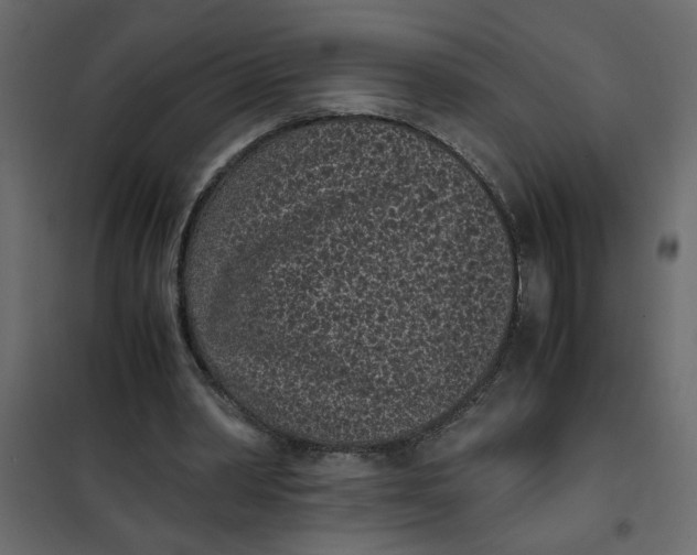 X0000101990390200808081641