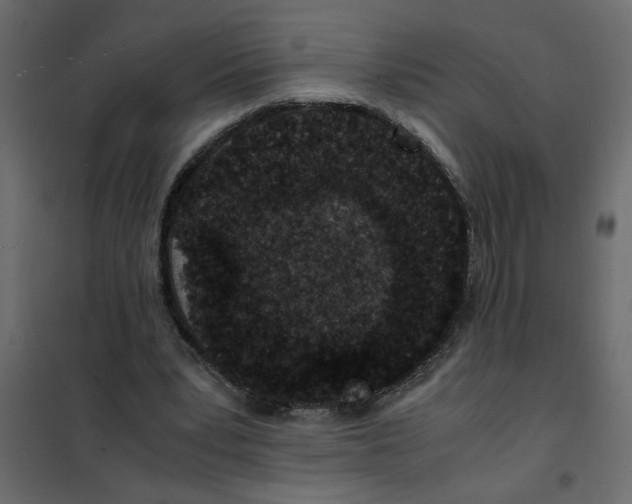 X0000101990391200808081641