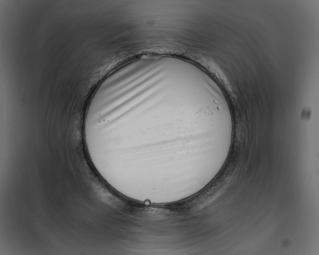 X0000101990393200808081641