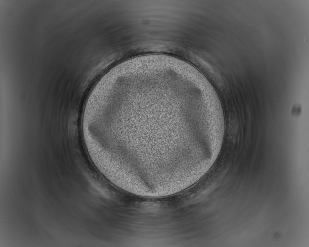X0000101990394200808081641