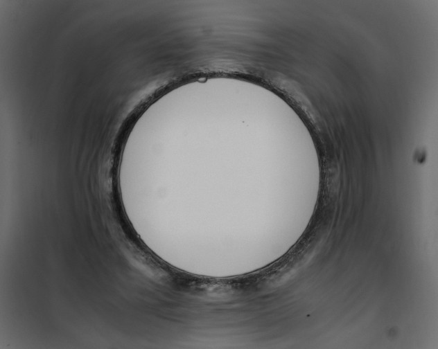 X0000101990395200808081641