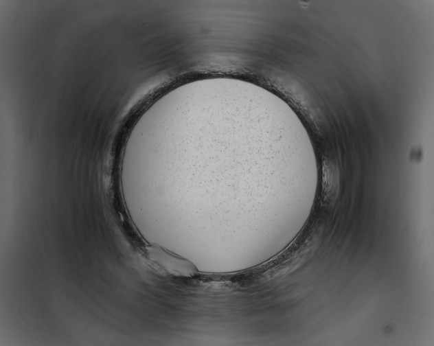 X0000101990396200808081641