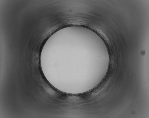 X0000101990397200808081641