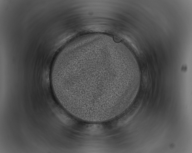 X0000101990398200808081641