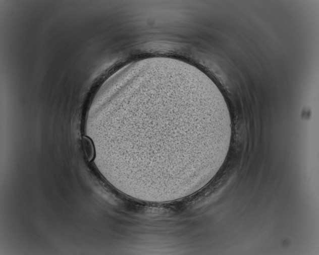 X0000101990399200808081641