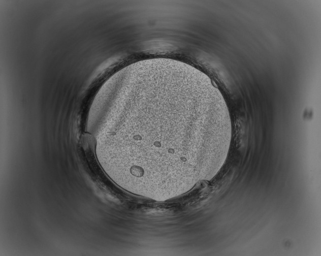 X0000101990400200808081641