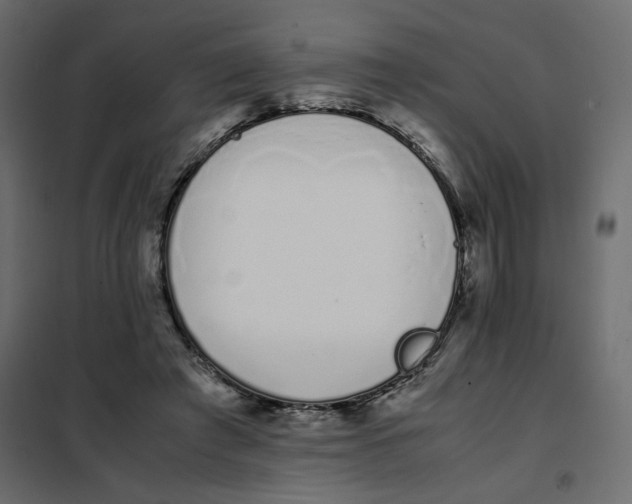 X0000101990401200808081641