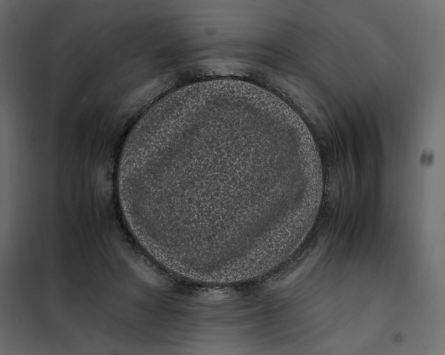 X0000101990402200808081641