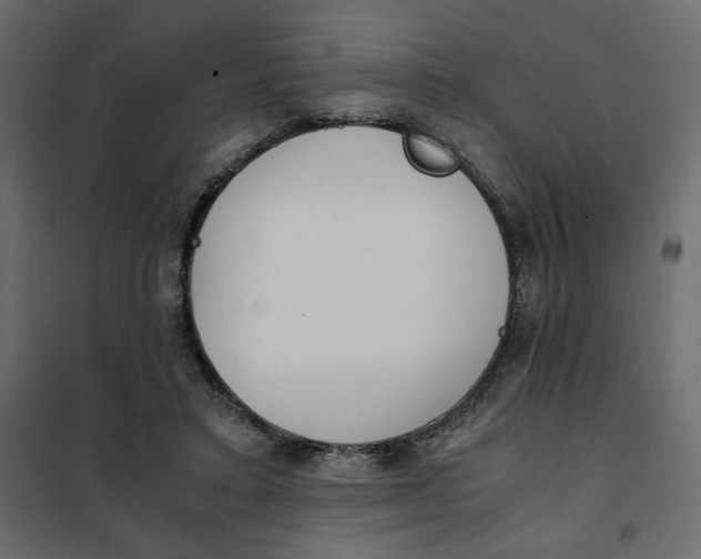 X0000101990403200808081641