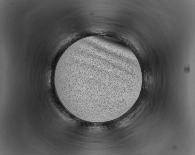X0000101990404200808081641