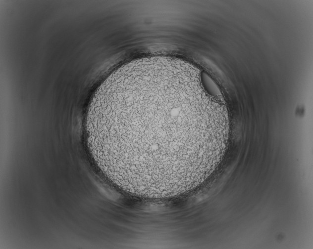 X0000101990405200808081641