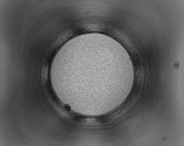 X0000101990406200808081641