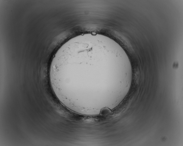 X0000101990407200808081641