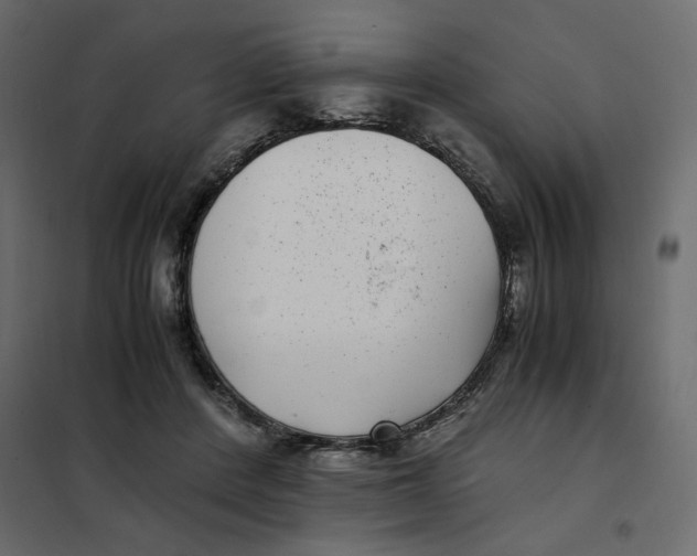 X0000101990408200808081641