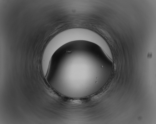 X0000101990409200808081641