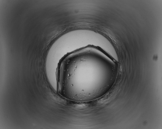 X0000101990411200808081641