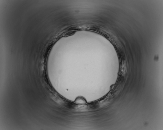 X0000101990413200808081640