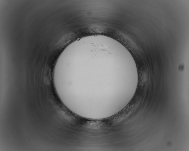 X0000101990414200808081640