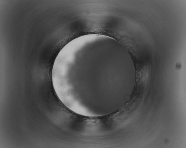 X0000101990415200808081640