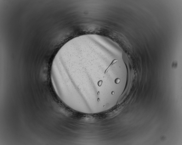 X0000101990416200808081640