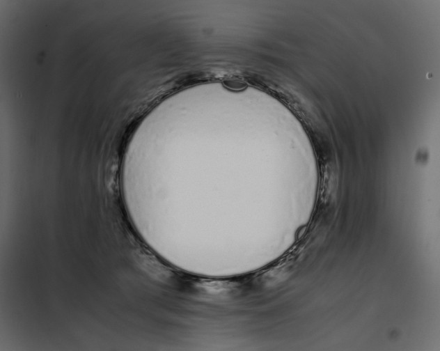 X0000101990417200808081640