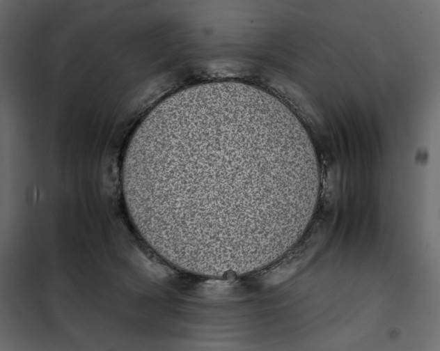 X0000101990418200808081640