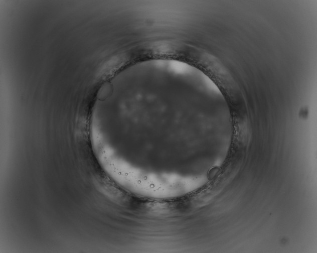 X0000101990419200808081640