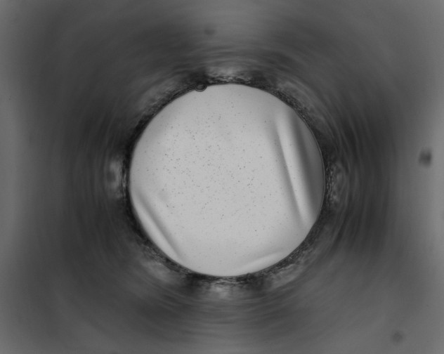 X0000101990420200808081640