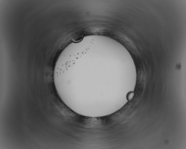 X0000101990421200808081640