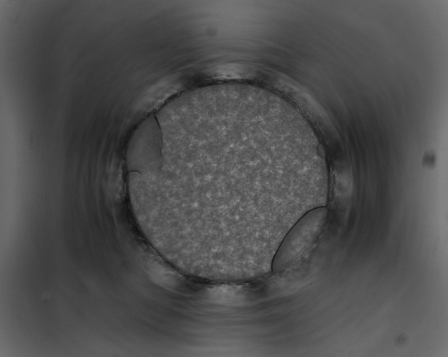 X0000101990422200808081640