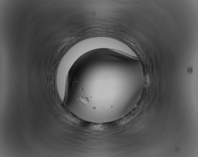 X0000101990423200808081640