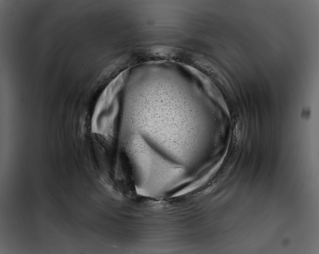 X0000101990424200808081640