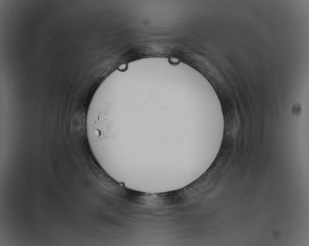 X0000101990425200808081640