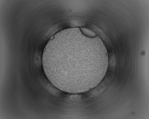 X0000101990426200808081640