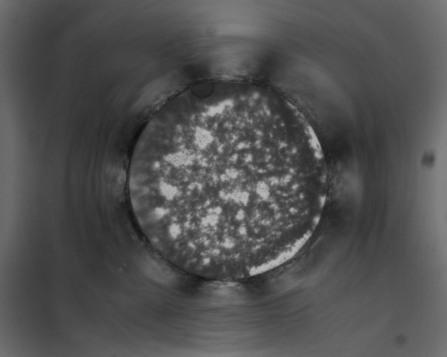 X0000101990427200808081640