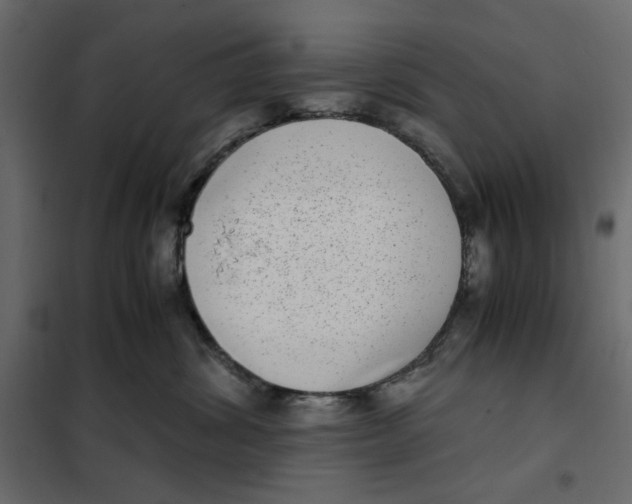 X0000101990428200808081640