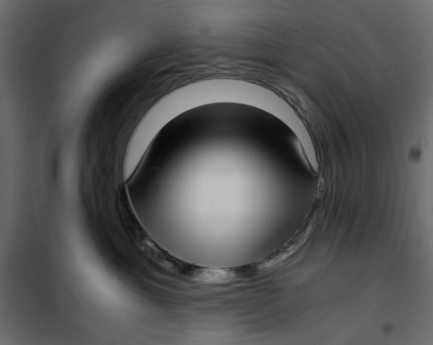 X0000101990429200808081640