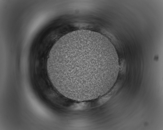 X0000101990430200808081640