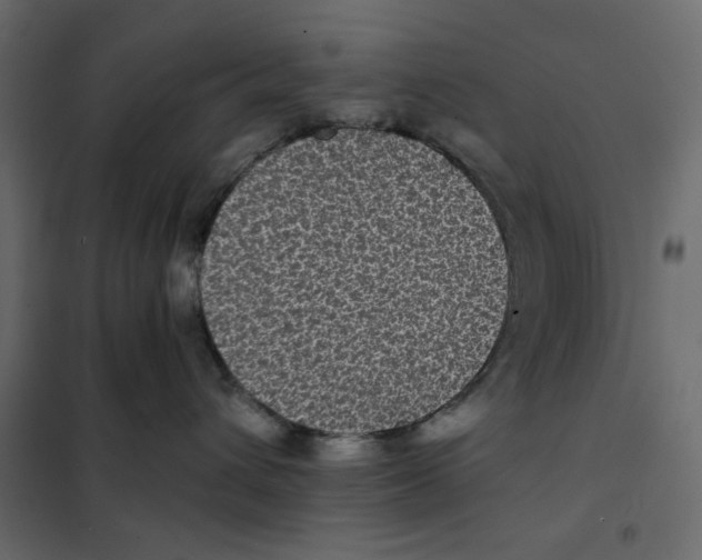 X0000101990432200808081640