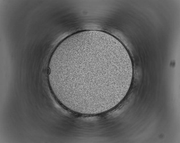 X0000101990433200808081640