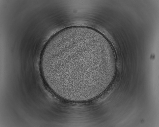 X0000101990434200808081640