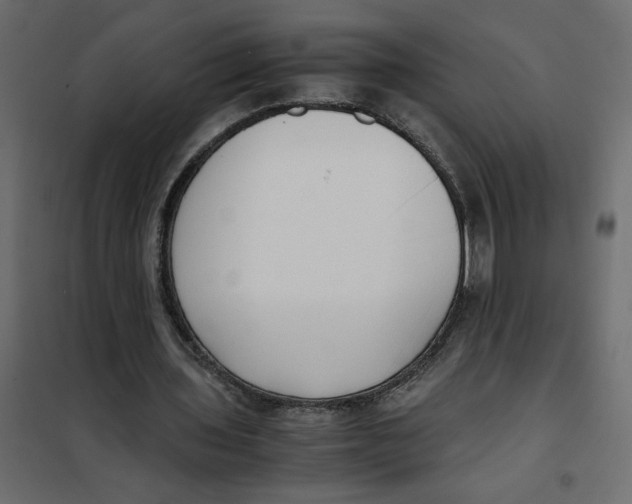 X0000101990435200808081640