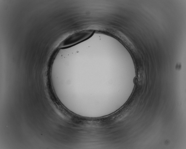 X0000101990436200808081640