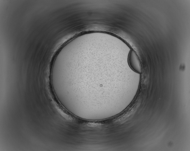 X0000101990437200808081640