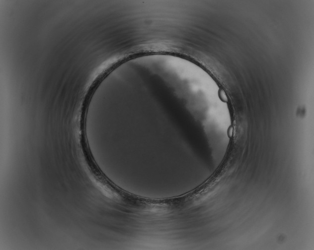 X0000101990438200808081640